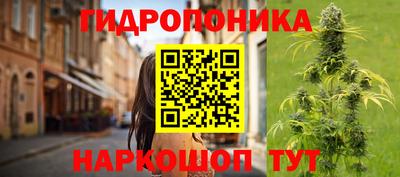эйфоретик Моздок